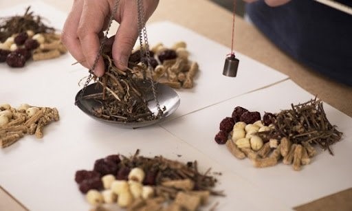 Cách sự dụng thuốc đông y, uống thuốc Đông Y bao lâu thì có tác dụng?